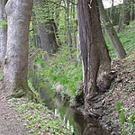 Historischer Wassergraben Hinternah - Schleusingen